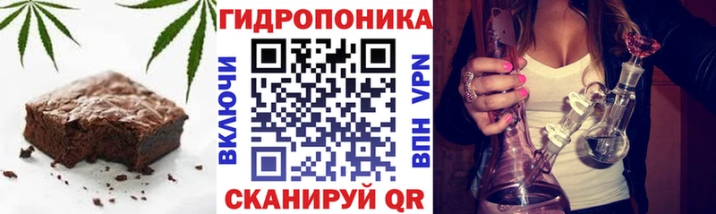 Купить закладки  Туран  Cannafood конопля 