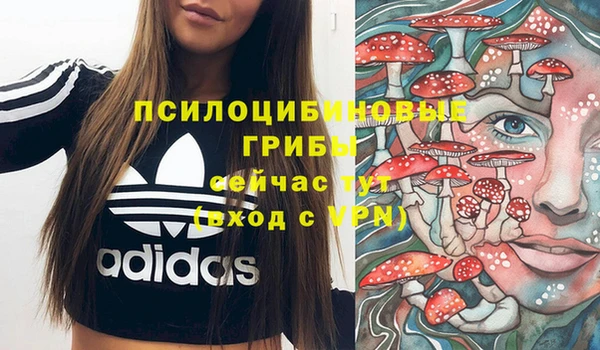 спиды Балахна