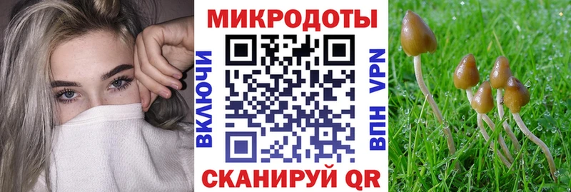Купить где  Туран  Галлюциногенные грибы MAGIC MUSHROOMS 